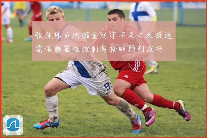 张佳玮分析掘金防守不足之处提速需依赖篮板控制与抢断预判技巧